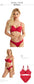 Women’s Sexy Lingerie Set – Detachable Strap Push Up Bra & Panty Set - Harmony Haven - Essentials